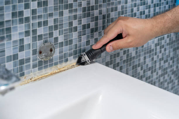 Professional Mold Remediation in Winsted, MN